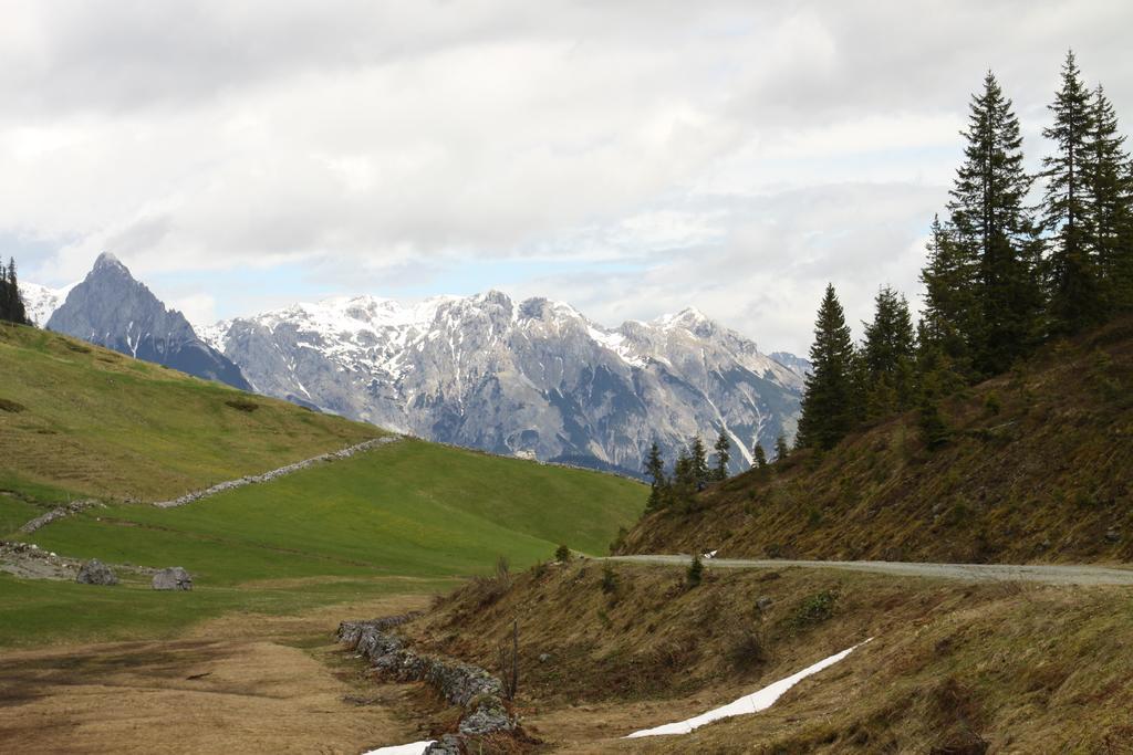 Alpendomizil Pia Leilighet Mühlbach am Hochkönig Eksteriør bilde